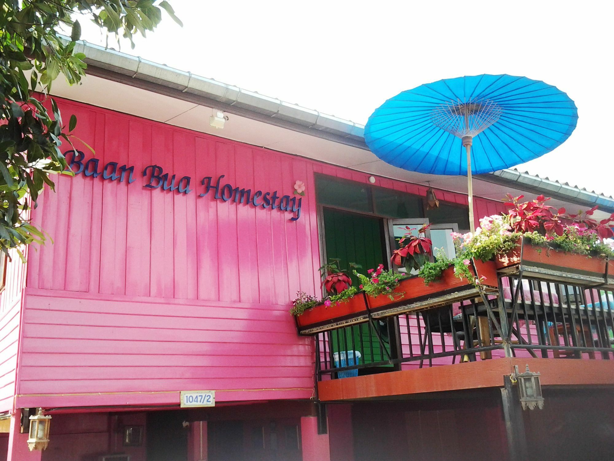 Baan Bua Homestay Chiang Rai Buitenkant foto